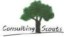 consultingscouts.com