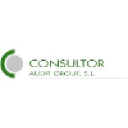 consultorauditgroup.com