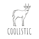 coolistichk.com logo