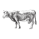 Coombe Farm Organic
