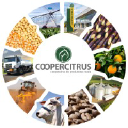 coopercitrus.com.br