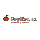 copifor.com