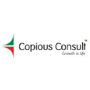 copiousconsult.com