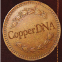 copperdna.com