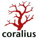 coralius.com