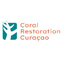 coralrestorationcuracao.org