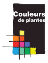 COULEURS DE PLANTES