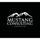 cpmustangconsulting.com