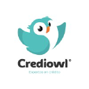 crediowl.com