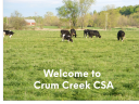creeksedgeelkfarm.com
