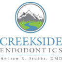 creeksideendo.com