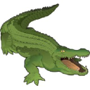 Crocodile Marketing on Elioplus