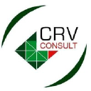 crvconsult.com.br
