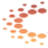 CTech Web Software