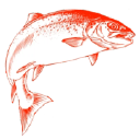 Cuenca Salmon