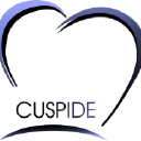 CUSPIDE