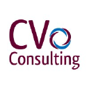 cvconsulting.co.uk