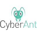 CyberAnt logo