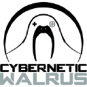 cyberneticwalrus.com