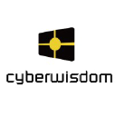 Cyberwisdom