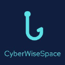 cyberwise.space