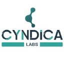 cyndicalabs.com