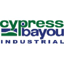 cypressbayoupainting.com