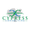Cypress Consulting logo