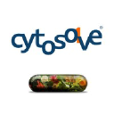 cytosolve.com