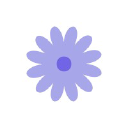 daisies
