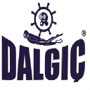 dalgicyangin.com.tr