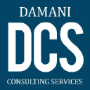 damaniconsulting.com