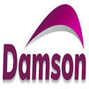 damson-group.com