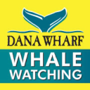 danawharfsportfishing.com