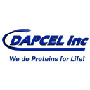 dapcel.com
