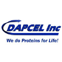 Dapcel
