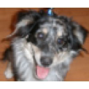 virginia department for aging and rehabilitative services (dars)