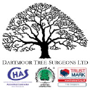 dartmoortreesurgeons.co.uk