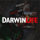 darwinlifemag.com.au