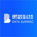 databurning.com