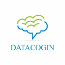 datacogin.com