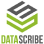 Data Scribe Solutions logo