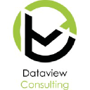 Dataview Consulting