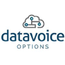 Data Voice Options