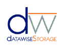 datawisestorage.com