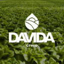 davidagroup.com