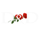dddoors.com