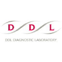 ddl.nl