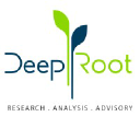 DeepRoot Consulting in Elioplus