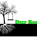 Deep Roots Inspection Services